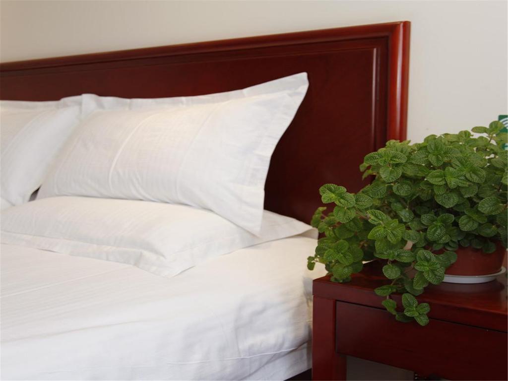 Greentree Inn Shanghai Dongming Road Subway Station Express Hotel 외부 사진